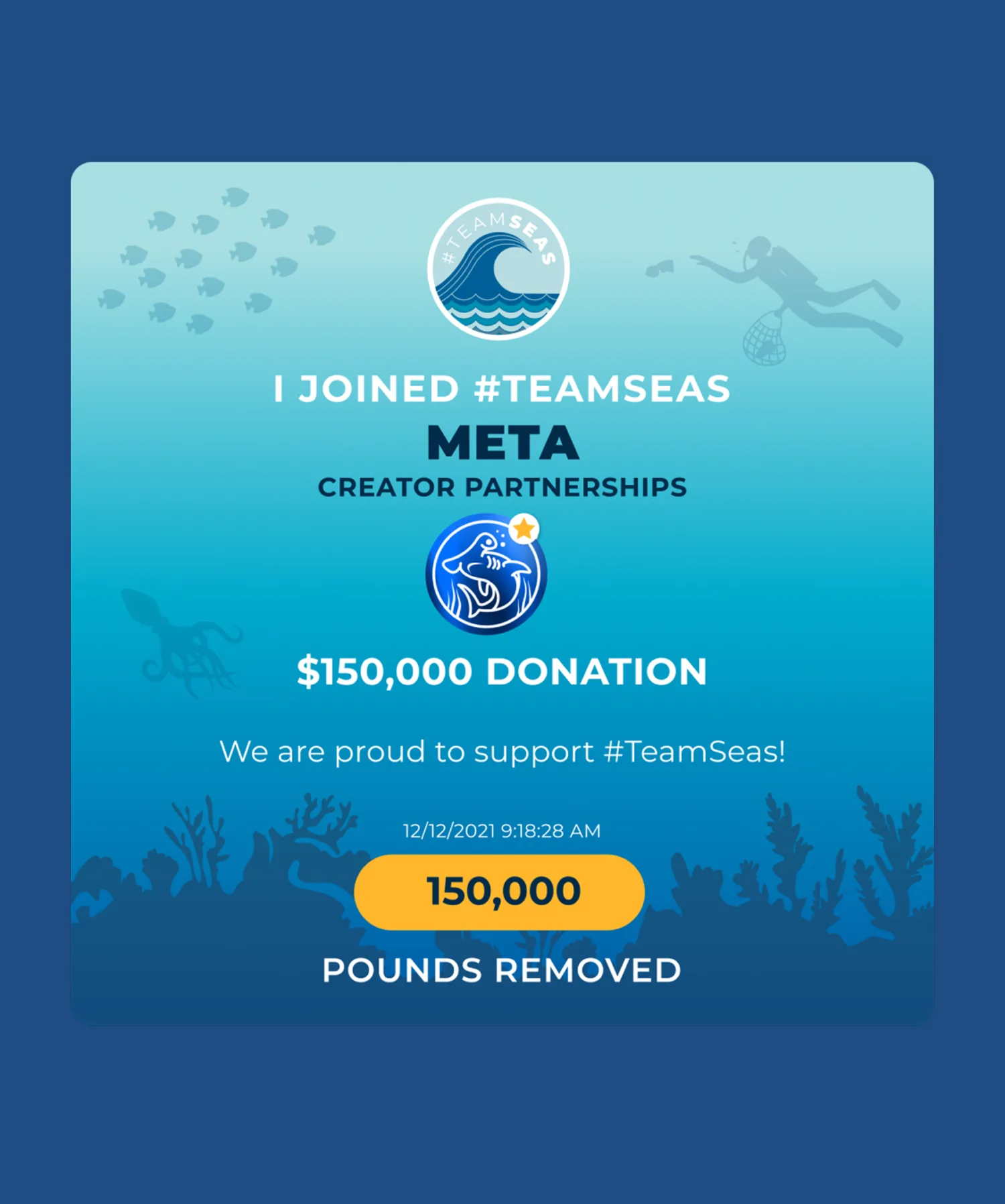 TeamSeas — gallery image 6